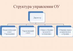 Структура управления ОУ